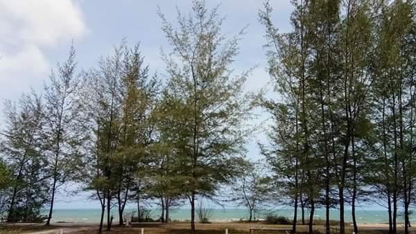 Paka Tamim Seaview Hotel Dış mekan fotoğraf